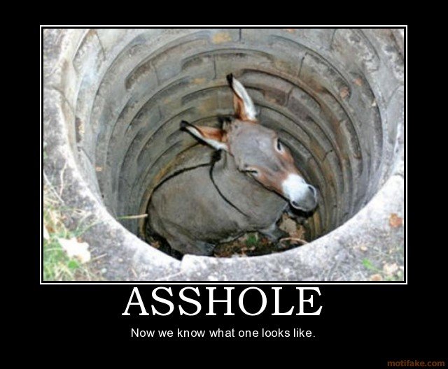 asshole-1